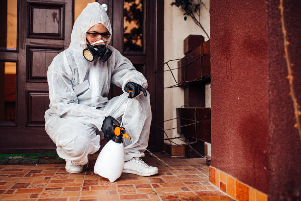 Reliable Cockroach Control contractor in Fish Hawk, FL by Nex Pest Control